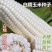 非转基因甜糯182玉米种子薄皮无渣鲜食甜加糯玉米种子春秋