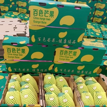 广西百色金煌芒品质好，价格便宜，礼盒装，快递装，全国发货