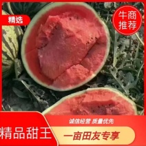 《小钢炮甜王》云南甜王/电商市场商超供应批发