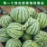 精选《8424西瓜》8斤打底8成熟头茬瓜农户自产自销