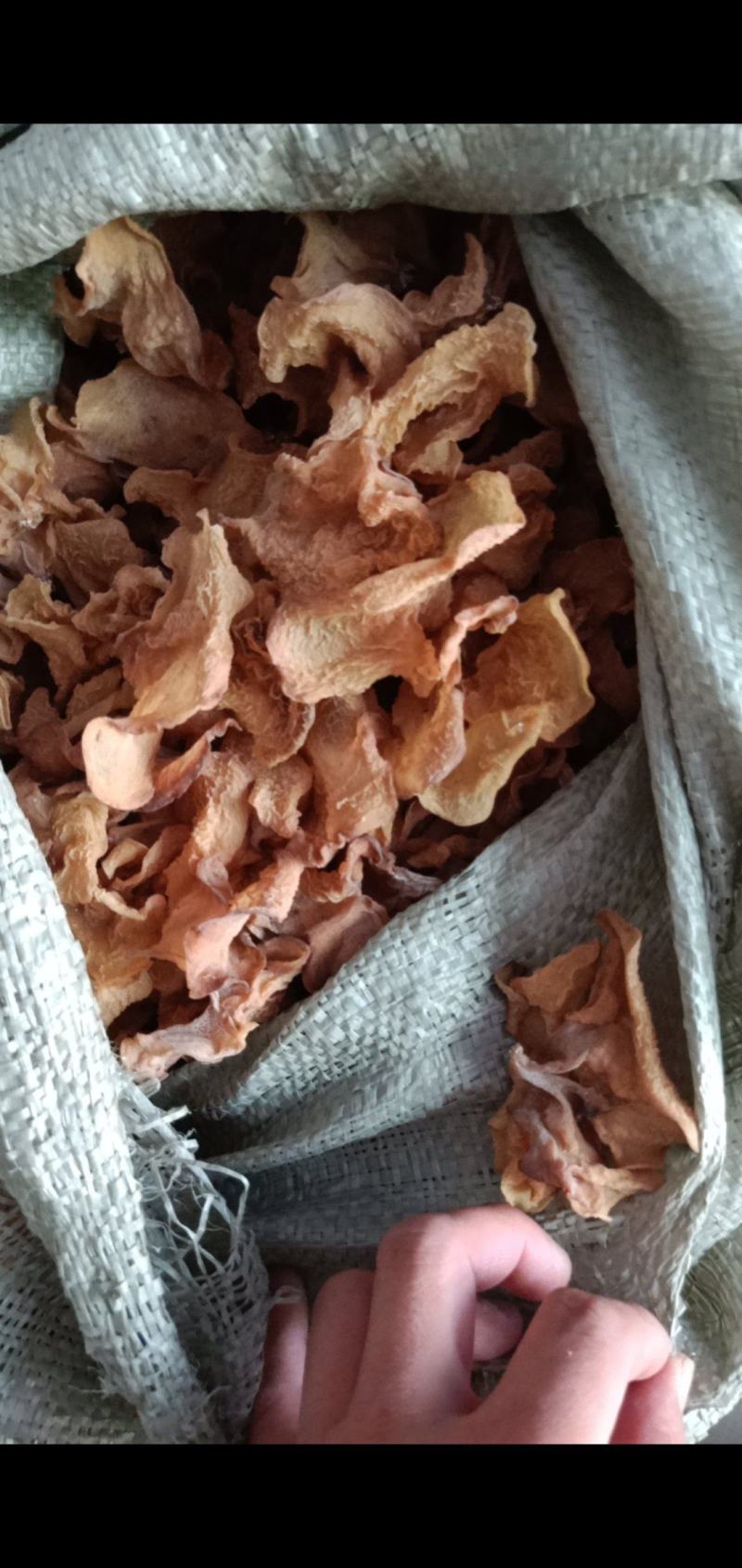 羊肚耳沙耳直销，电商专用，加工厂专用，批发零售