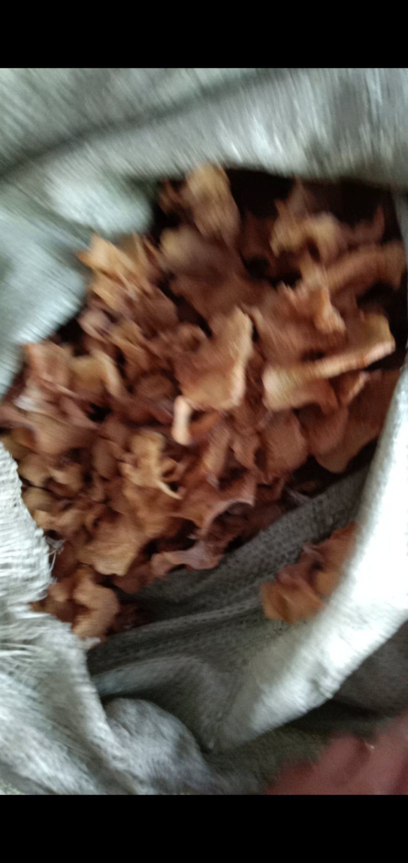 羊肚耳沙耳直销，电商专用，加工厂专用，批发零售