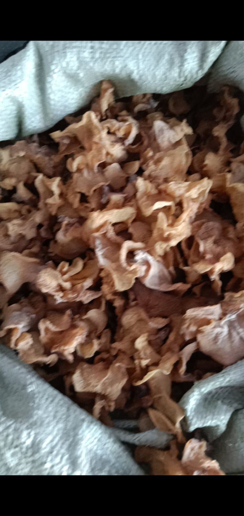 羊肚耳沙耳直销，电商专用，加工厂专用，批发零售