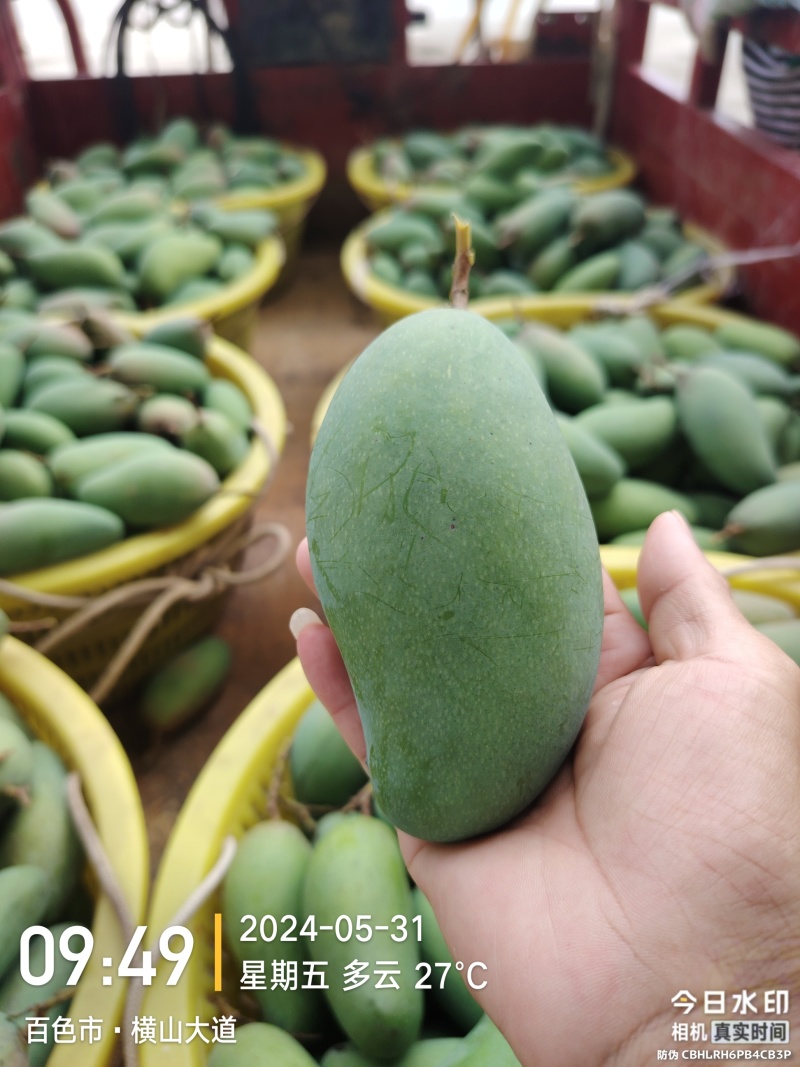 广西百色金煌芒品质好，价格便宜，礼盒装，快递装，全国发货