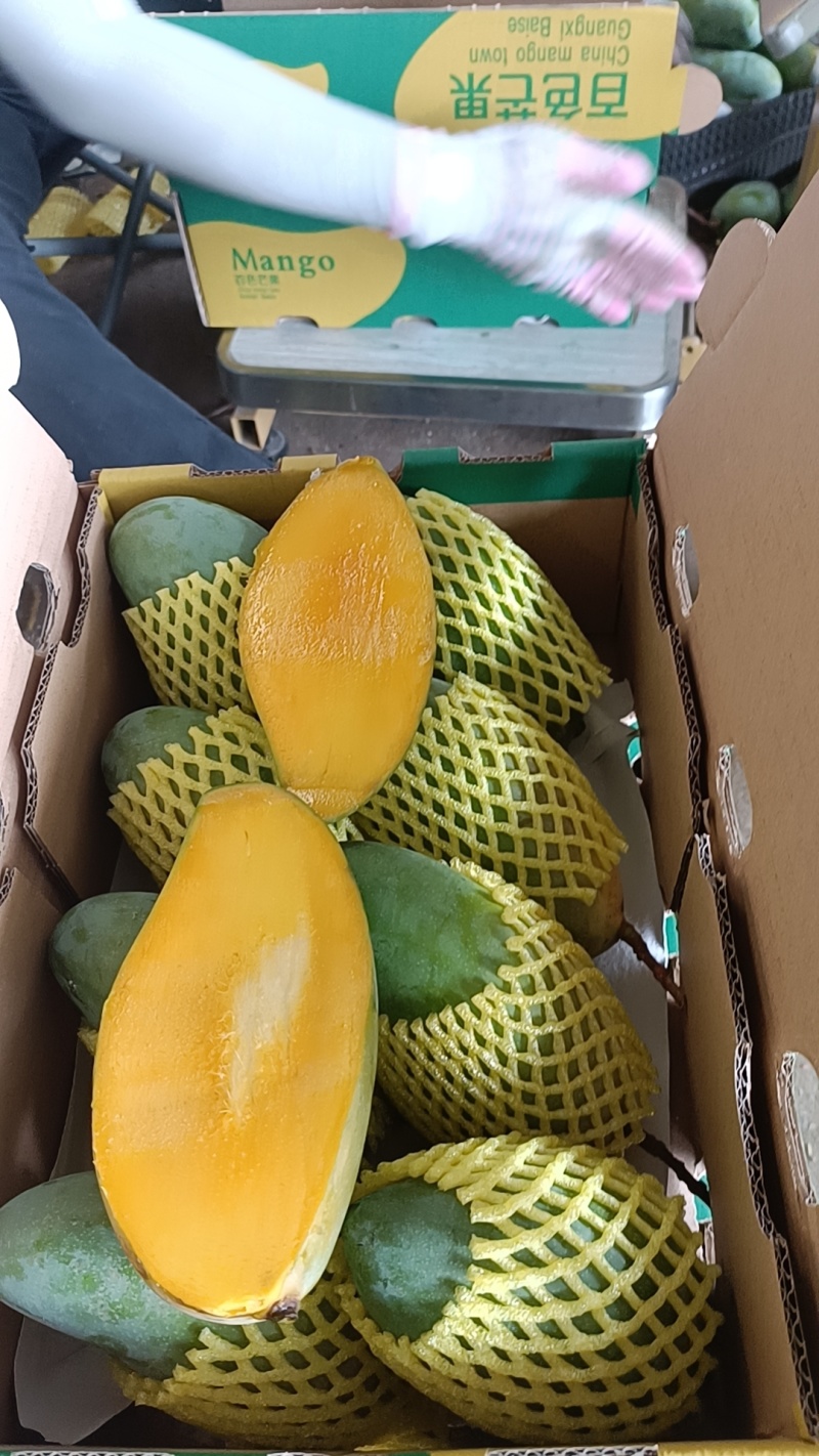 广西百色金煌芒品质好，价格便宜，礼盒装，快递装，全国发货
