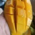 广西百色金煌芒品质好，价格便宜，礼盒装，快递装，全国发货
