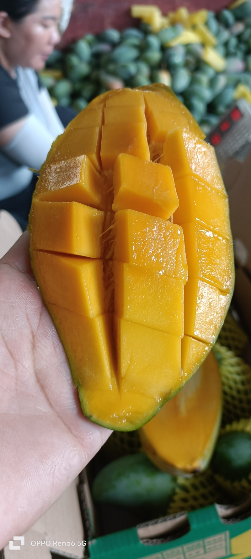 广西百色金煌芒品质好，价格便宜，礼盒装，快递装，全国发货