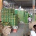 广西百色金煌芒品质好，价格便宜，礼盒装，快递装，全国发货