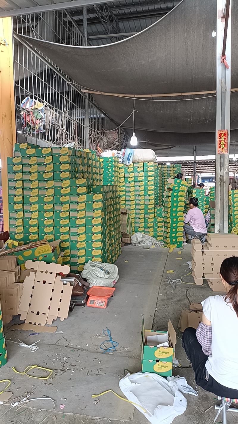 广西百色金煌芒品质好，价格便宜，礼盒装，快递装，全国发货