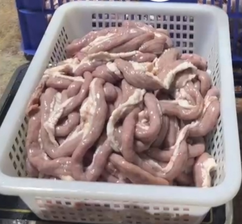 靓粉肠