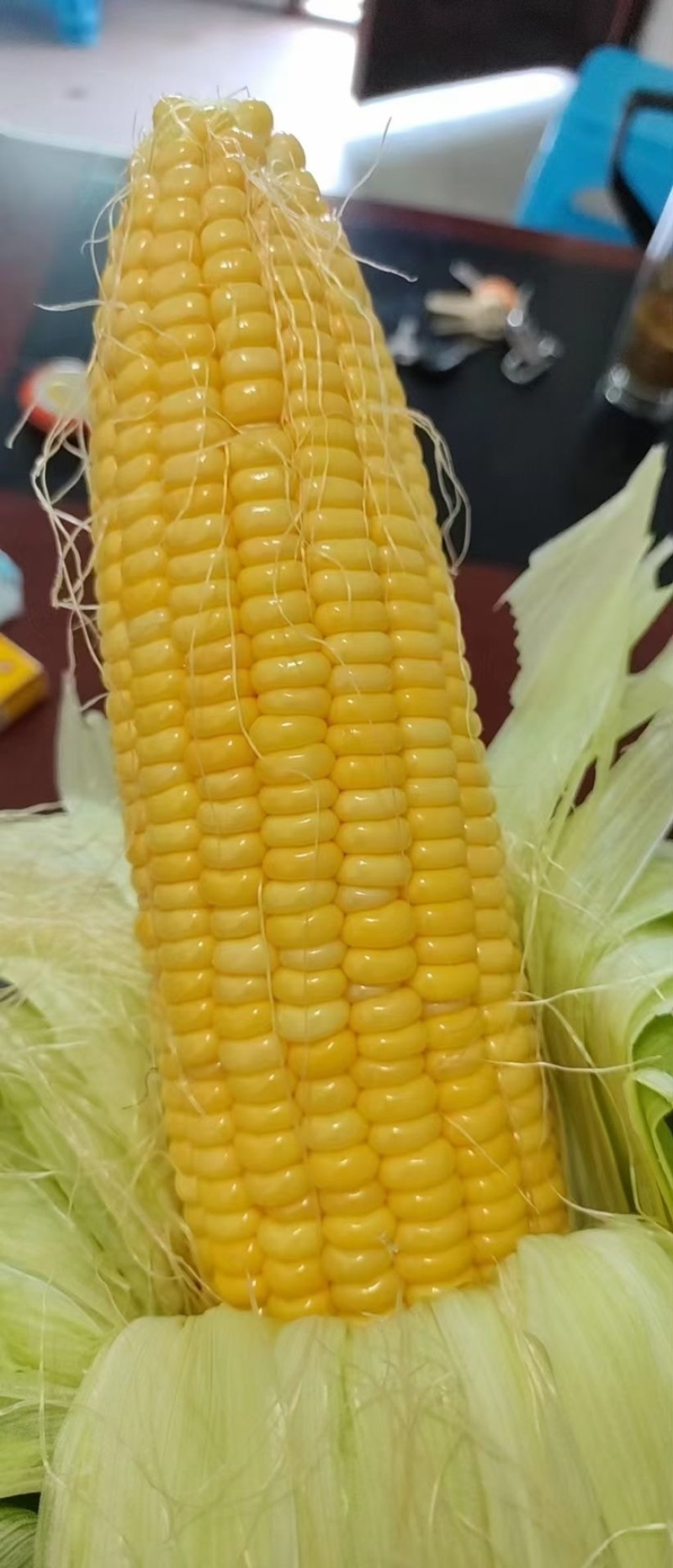 各品种玉米