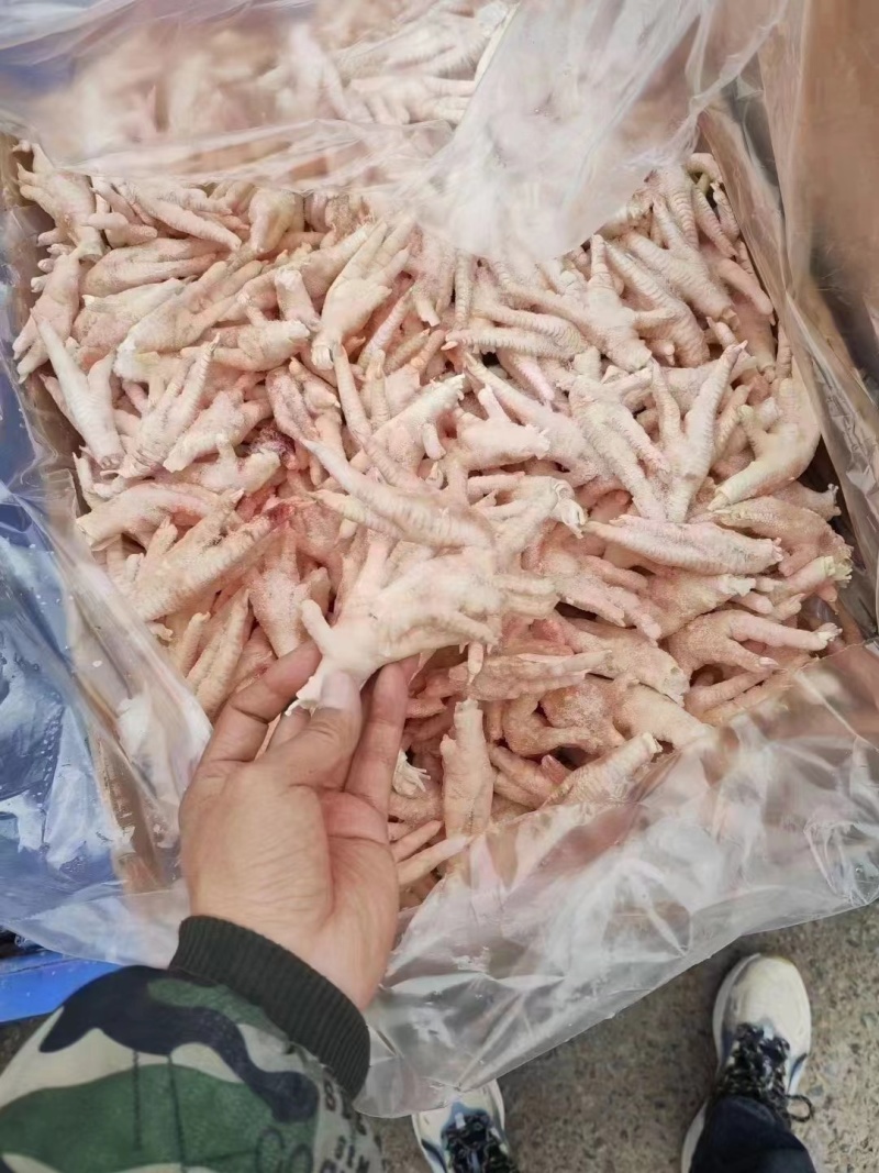 凤爪，凤爪大量有货欢迎客户咨询洽谈生意