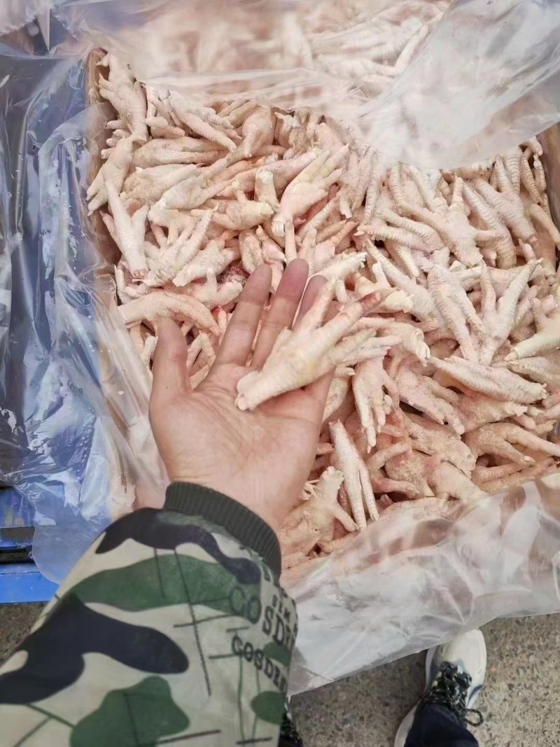 凤爪，凤爪大量有货欢迎客户咨询洽谈生意
