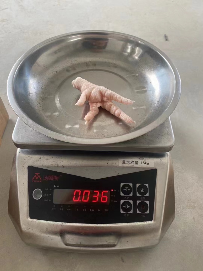 凤爪，凤爪大量有货欢迎客户咨询洽谈生意
