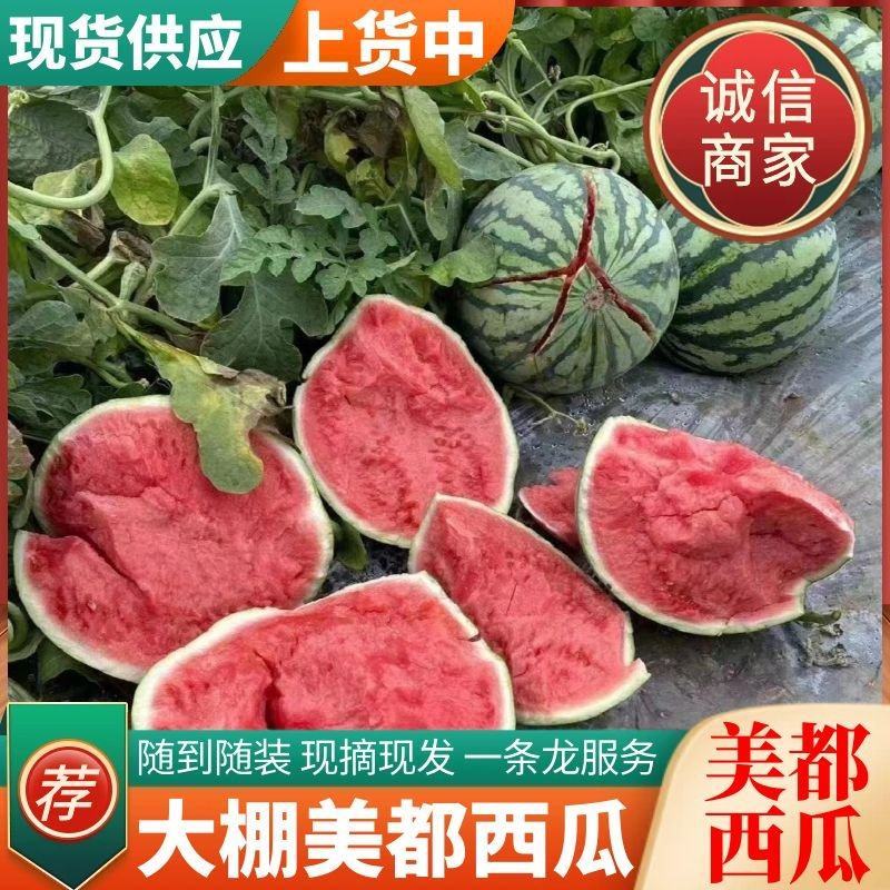 《美都西瓜》农户自家种植大棚头茬瓜包熟包甜随到随装