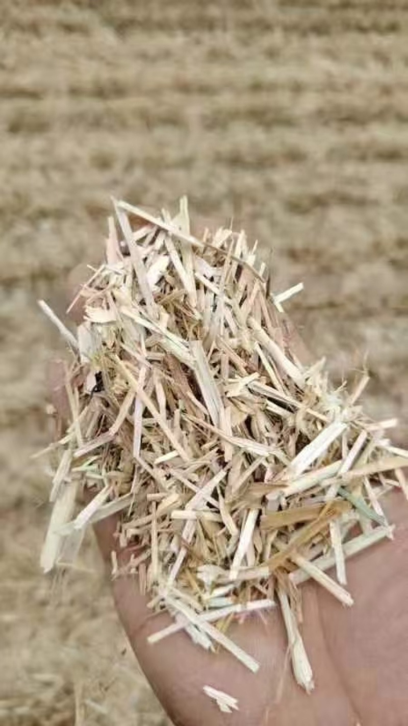 小麦秸杆