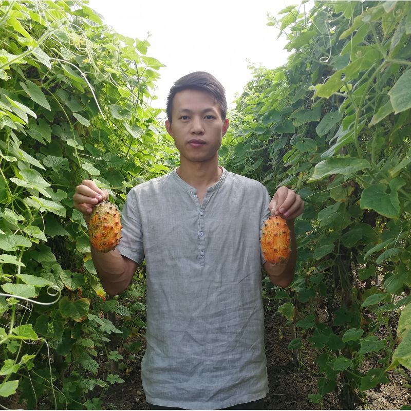 火参果新鲜灭霸水果老人水果低糖奇异果刺角瓜火星果孕妇水果