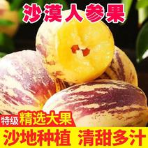 甘肃人参果沙漠种植人生果新鲜水果甘肃民勤长寿果特产黄心果