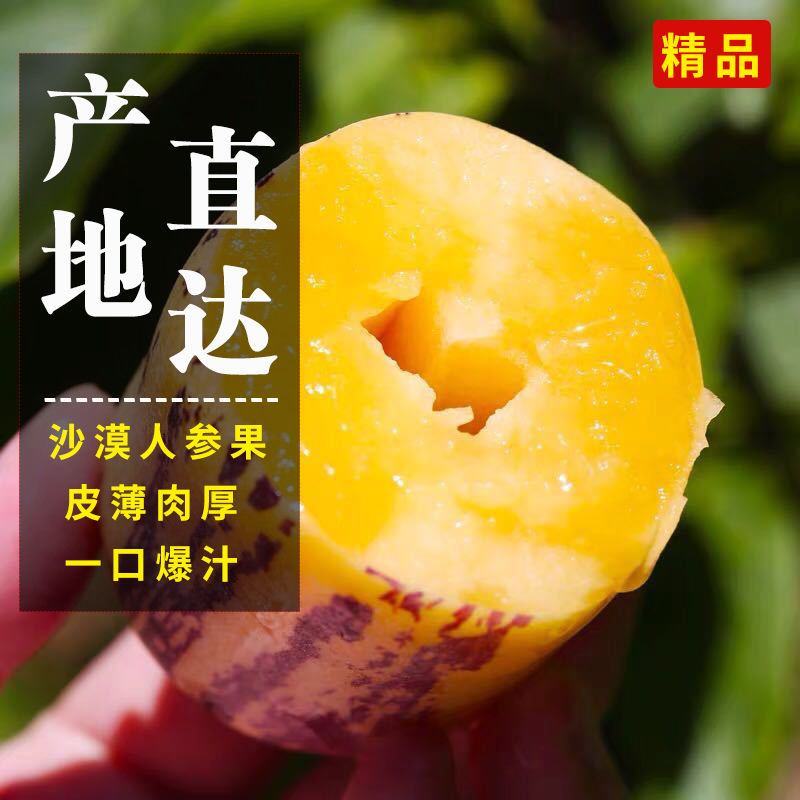 甘肃人参果沙漠种植人生果新鲜水果甘肃民勤长寿果特产黄心果