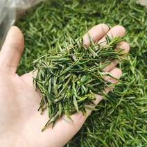 推荐安徽黄山毛峰绿茶，产地直发价优，保质欢迎
