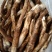 野生鸡枞菌