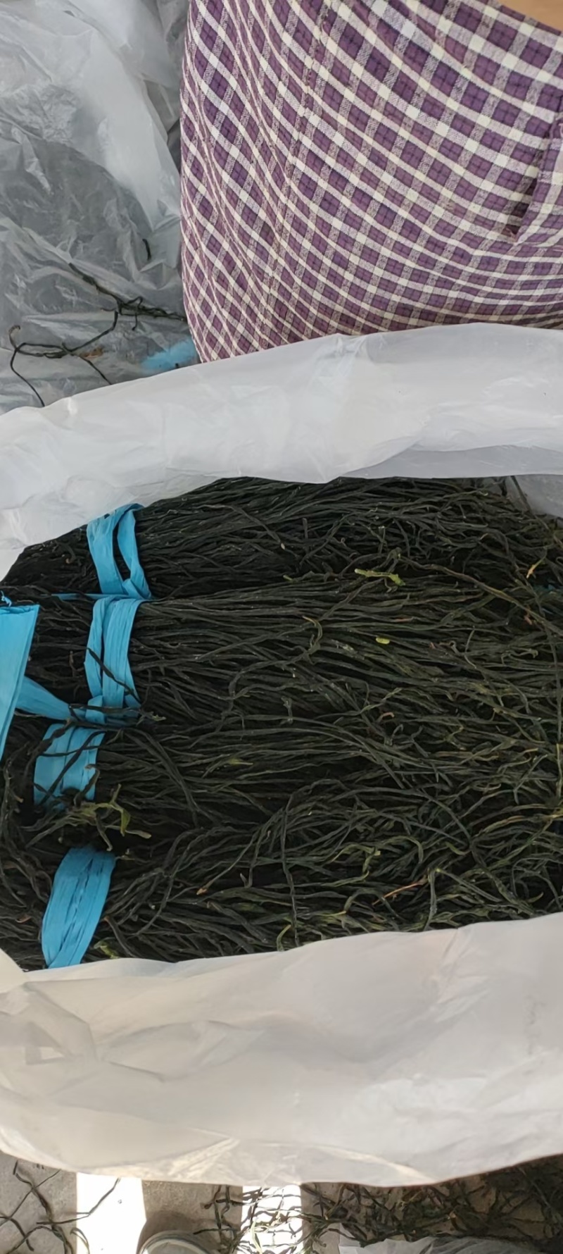 干豆角自产自制保质保量代发全国需要的老板联系