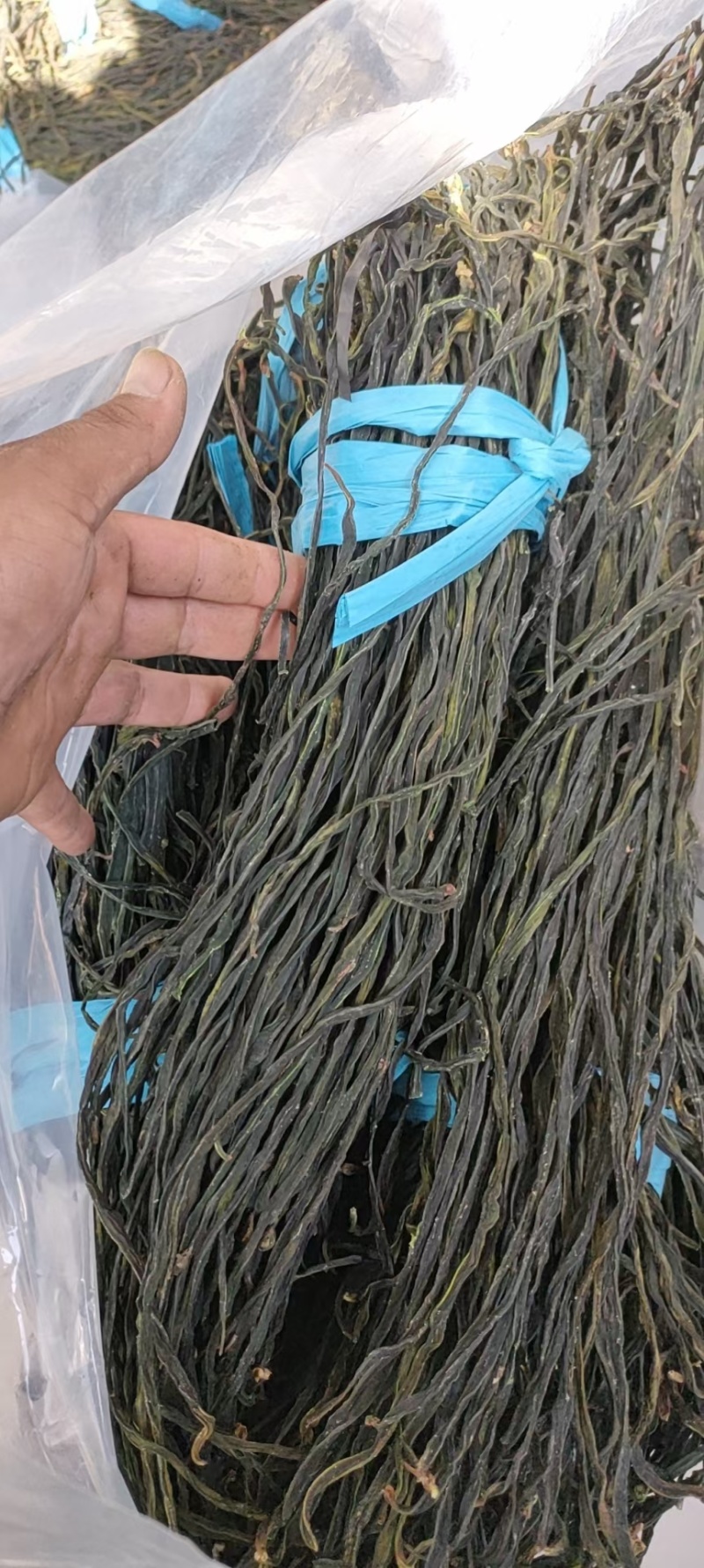 干豆角自产自制保质保量代发全国需要的老板联系
