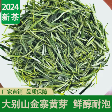 推荐金寨黄芽绿茶黄山毛峰，诚信经营口感香醇欢迎