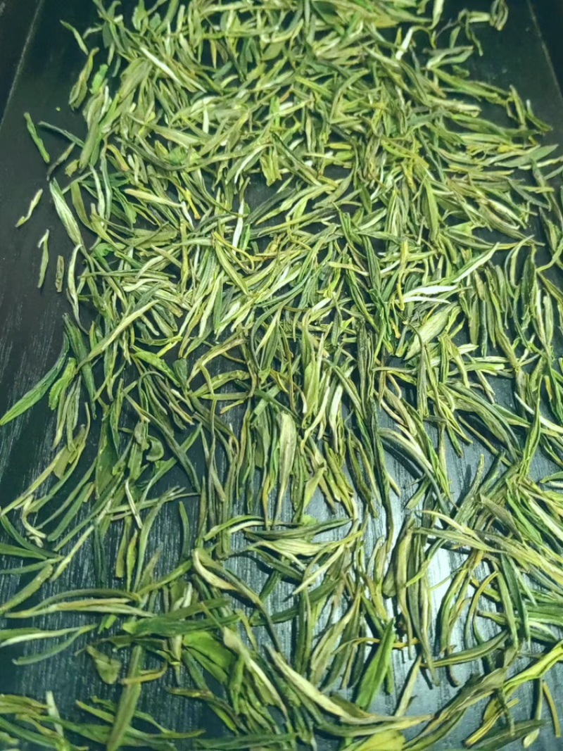 推荐金寨黄芽绿茶黄山毛峰，诚信经营口感香醇欢迎