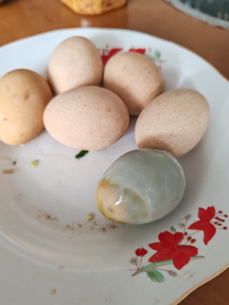 武当土鸡灰蛋