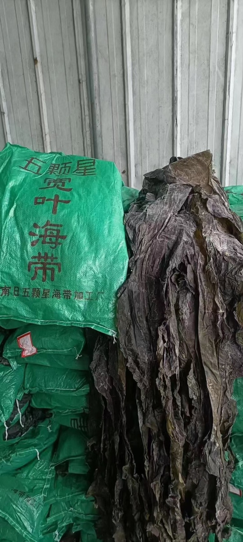 精品海带30斤装50元50斤装都有现货