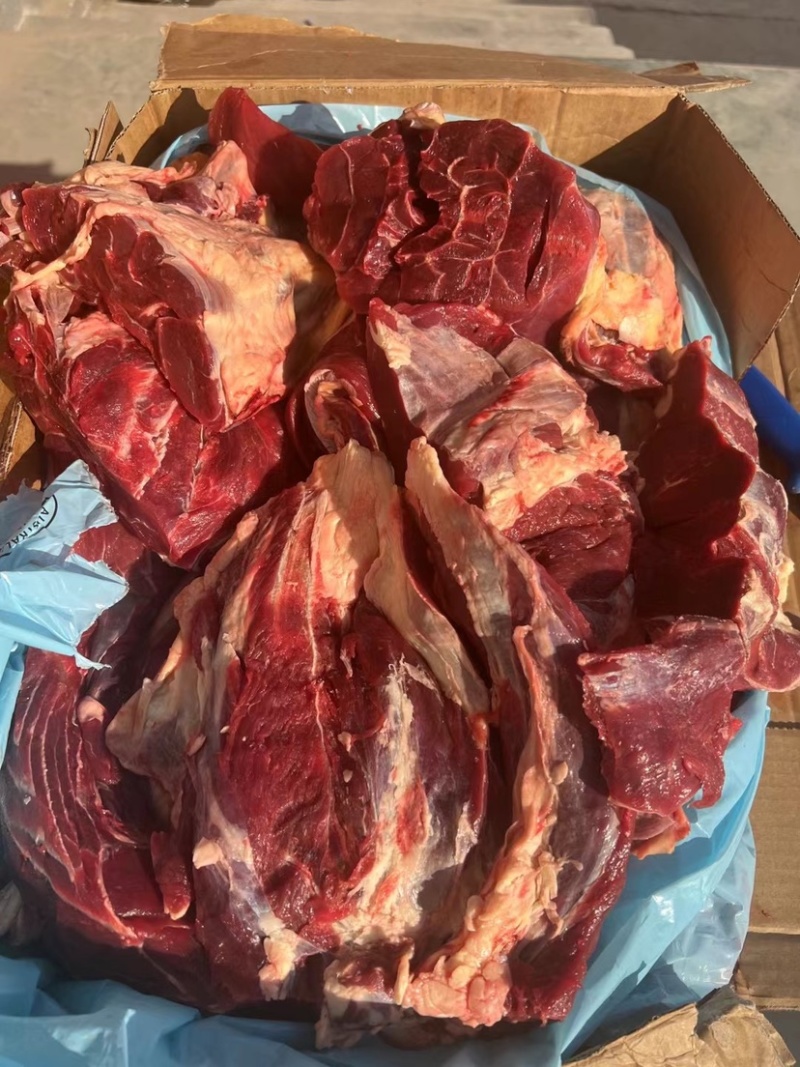 牛腱子，纯干货，精修度高，脂肪率少，出成率高，卤煮福利