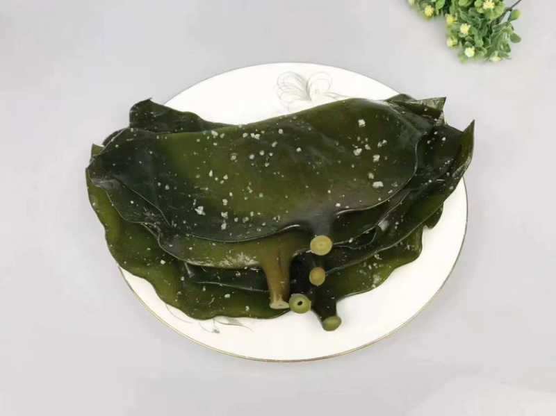 盐渍海带头一件50斤