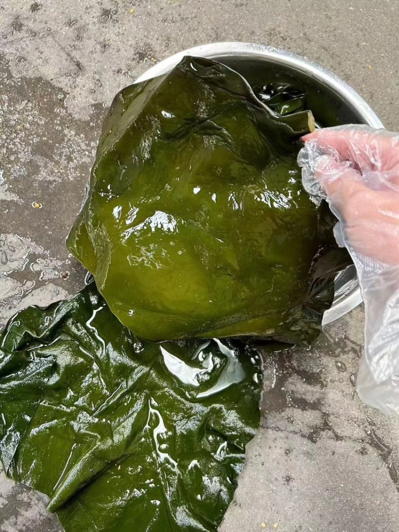 盐渍海带头一件50斤