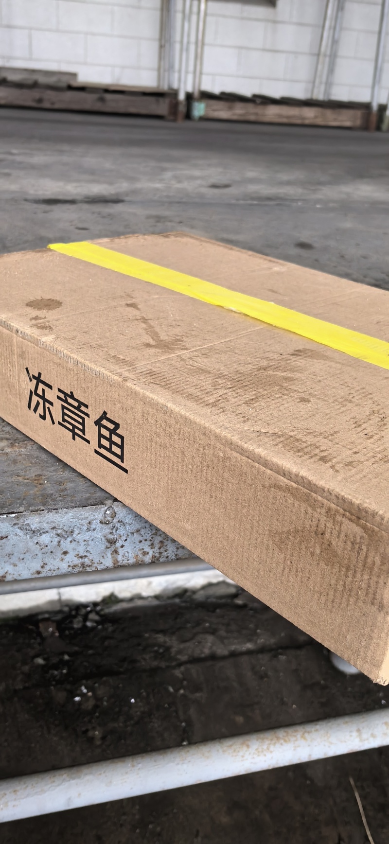 章鱼八爪鱼冻板原浆八爪鱼海鲜冷冻原浆无处理一件20斤