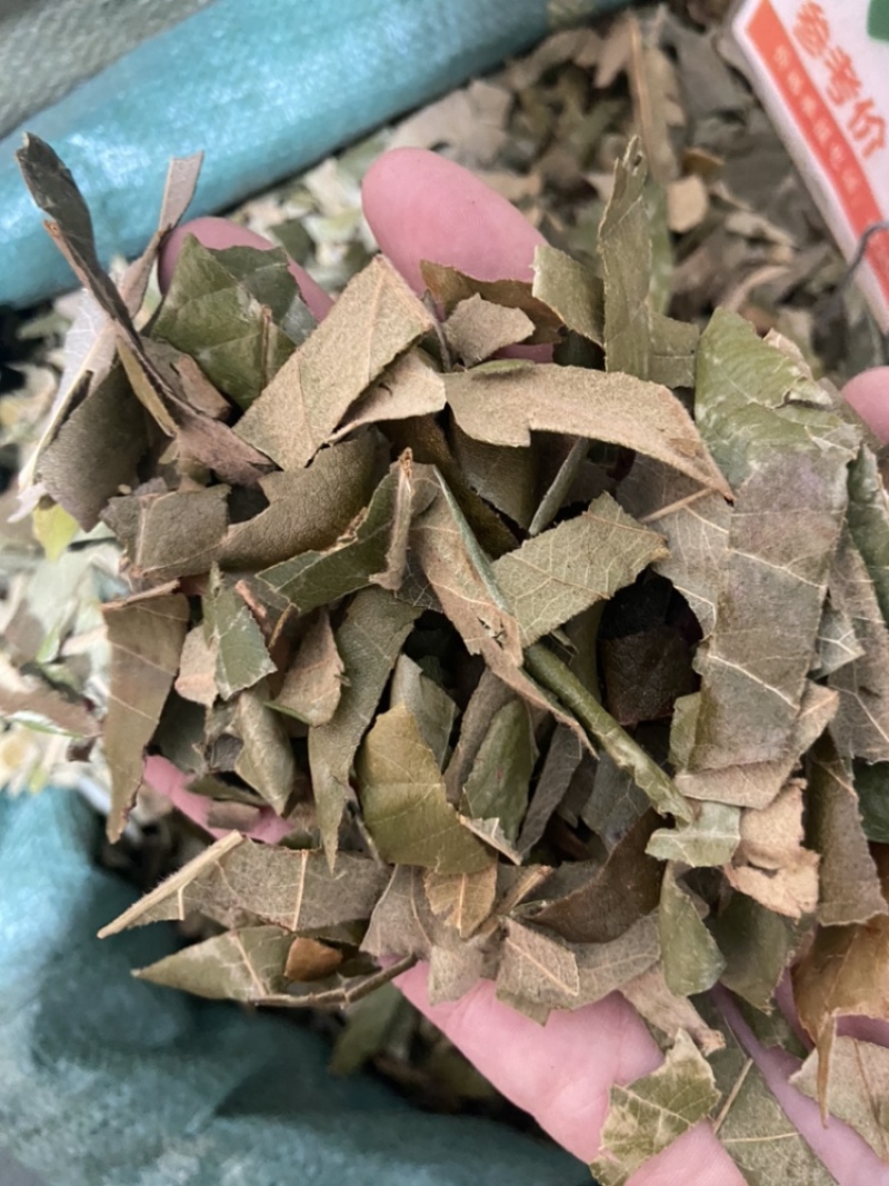 枇杷叶