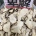 萆薢