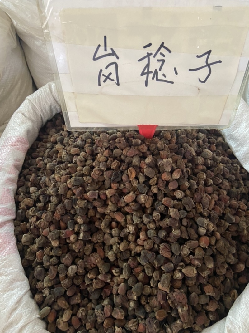 稔子
