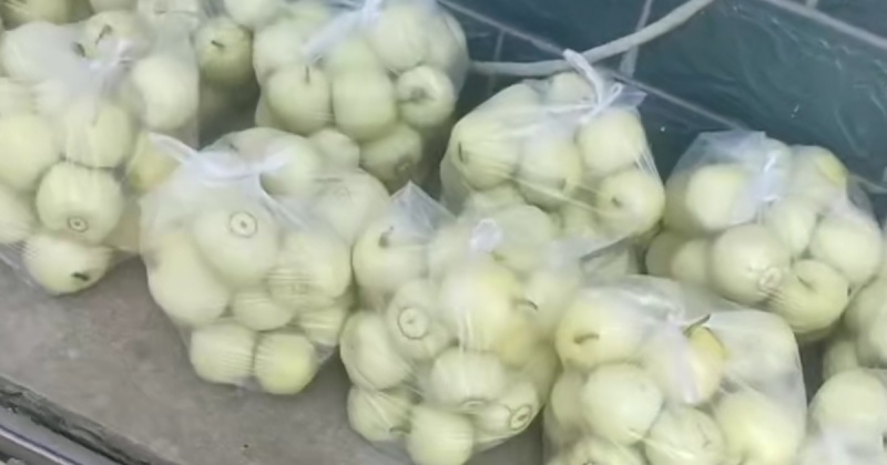 湖北精品甜瓜大量有货，质量保证，需要的老板联