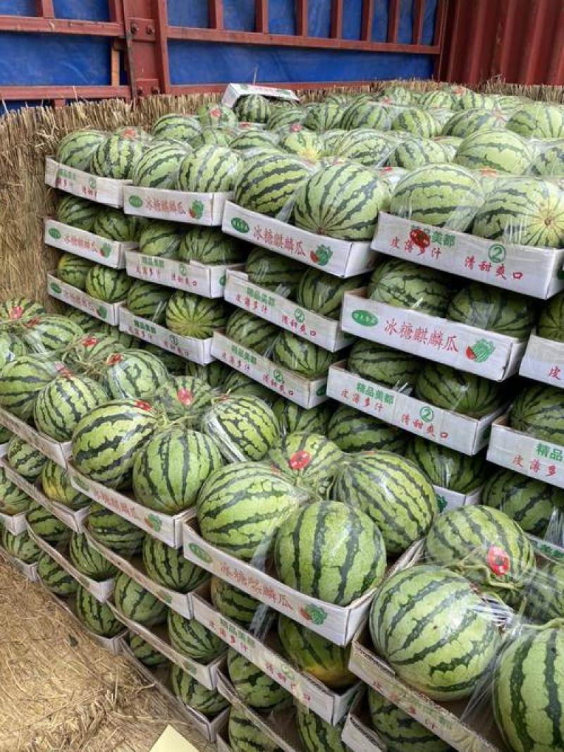 河南开封有籽美都西瓜0.3左右