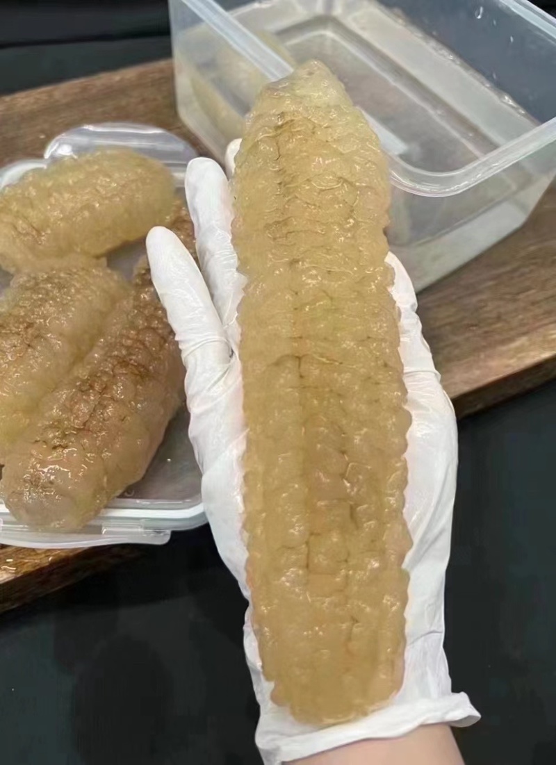 海参沙秃参非洲秃参黄金秃参金沙参淡干品质滋补食材送礼佳品