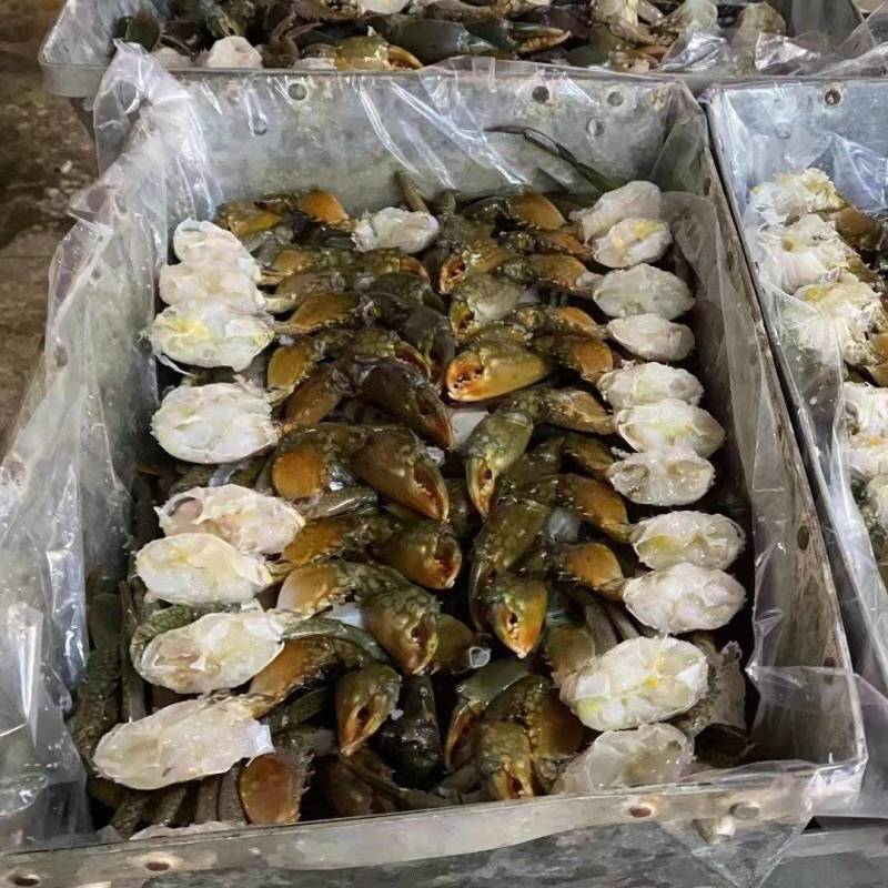青蟹排蟹块单只重量一斤
