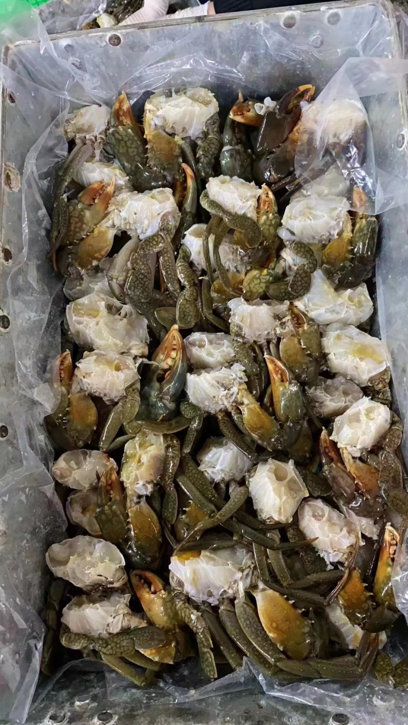 青蟹排蟹块单只重量一斤