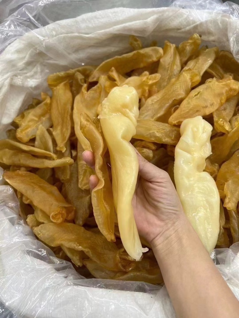 黄花胶老黄花胶老胶足干货胶质厚一手货源批发价