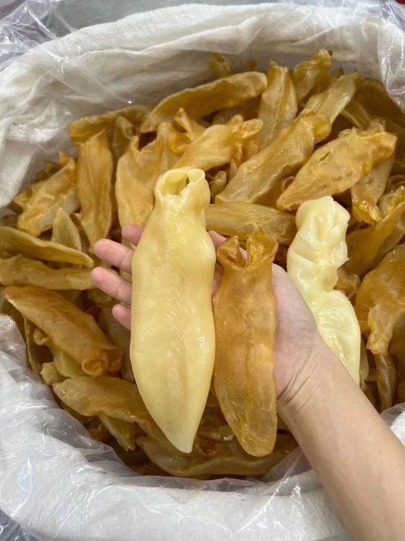 黄花胶老黄花胶老胶足干货胶质厚一手货源批发价