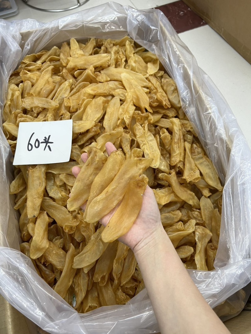 黄花胶老黄花胶老胶足干货胶质厚一手货源批发价