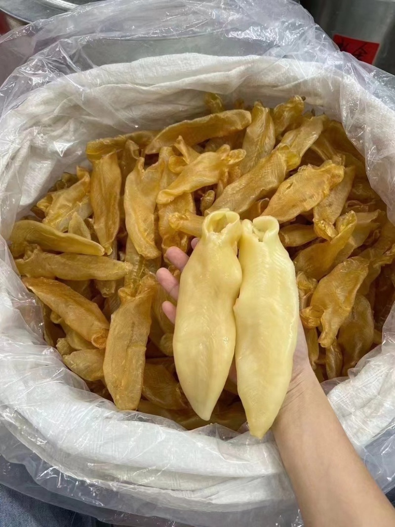 黄花胶老黄花胶老胶足干货胶质厚一手货源批发价