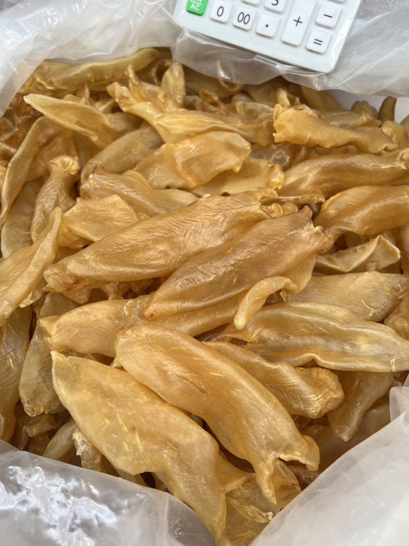 黄花胶老黄花胶老胶足干货胶质厚一手货源批发价
