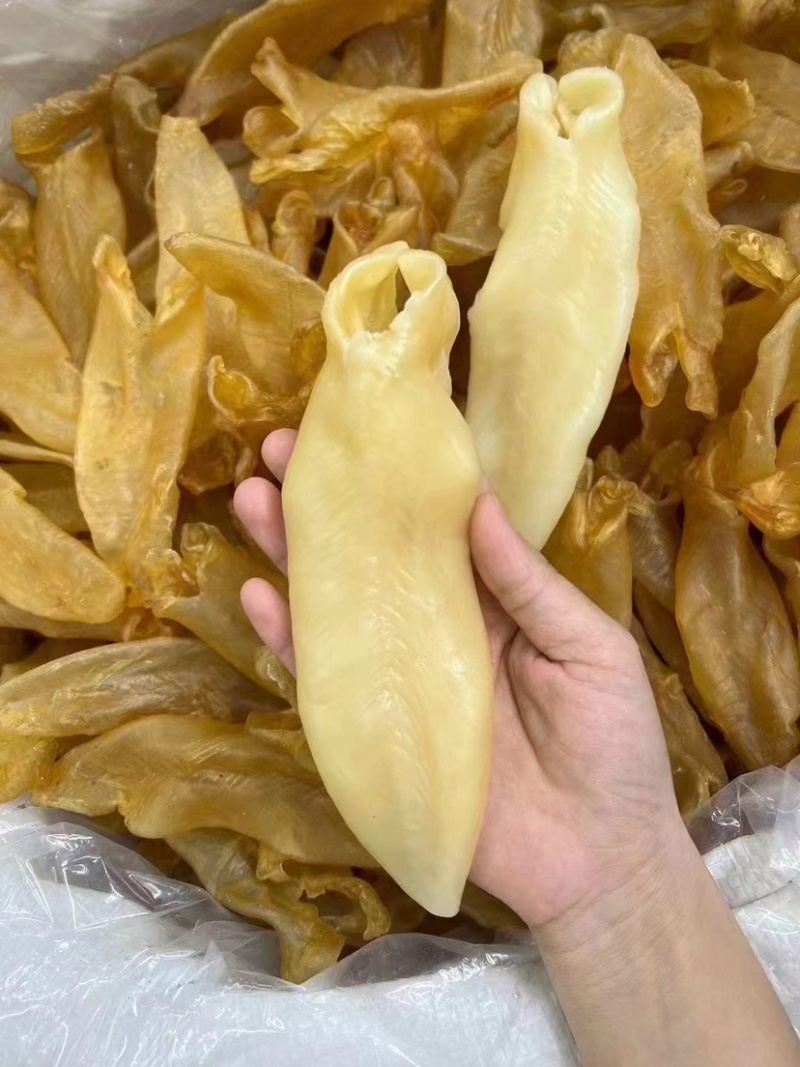 黄花胶老黄花胶老胶足干货胶质厚一手货源批发价