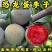 恐龙蛋李子苗（红心李子）品种纯真基地现起现发成活率高